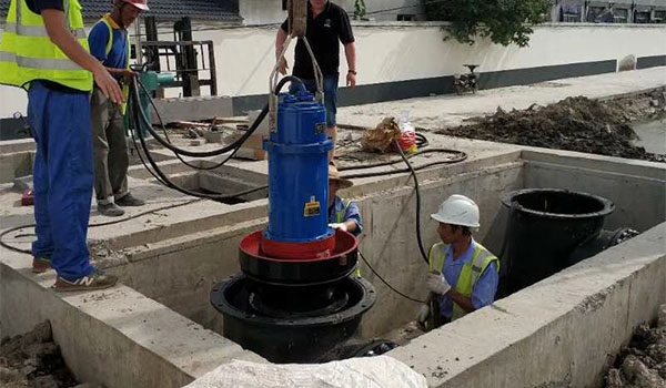 Installation and Maintenance of Submersible Axial Flow Pumps
