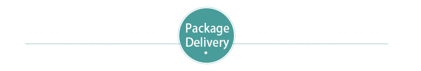 package delivery-2