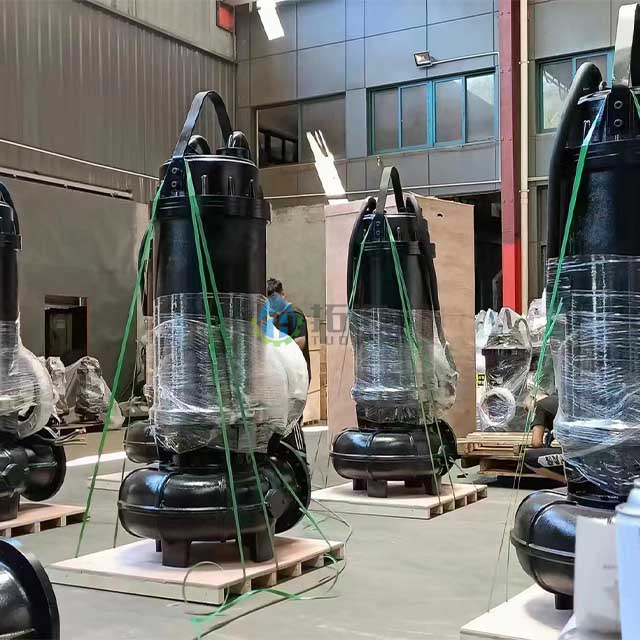  Cast Iron Reliable Performance Submersible Sewage Pump for Flooding Prevention