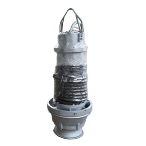 Galvanized Submersible Axial Flow Pump