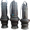 Durable Construction Adjustable Speed Submersible Axial Flow Pump for Aquaculture