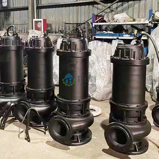  Cast Iron Reliable Performance Submersible Sewage Pump for Flooding Prevention