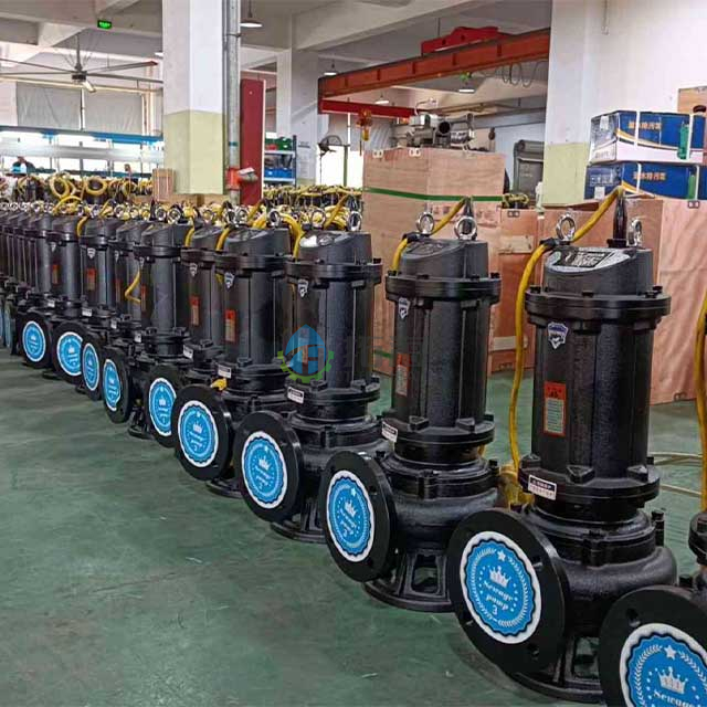  Cast Iron Reliable Performance Submersible Sewage Pump for Flooding Prevention