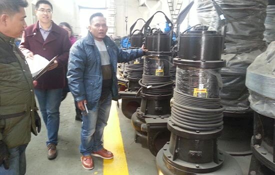 Assist in installation for submersible pumps
