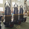  Cast Iron Reliable Performance Submersible Sewage Pump for Wastewater Treatment