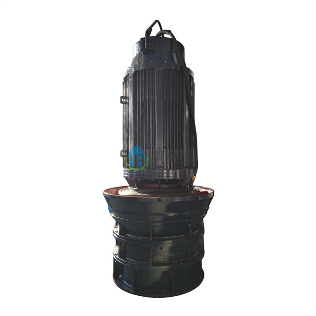 Cast Iron Low Power Consumption Submersible Axial Flow Pump for Water Treatment