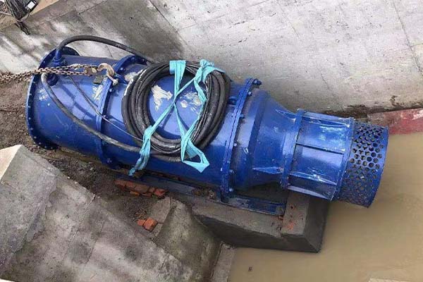 Durable Construction Adjustable Speed Submersible Axial Flow Pump for Flood Control