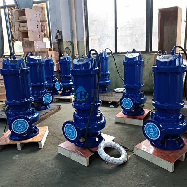 Cast Iron Easy Installation Submersible Sewage Pump for Effluent Transfer