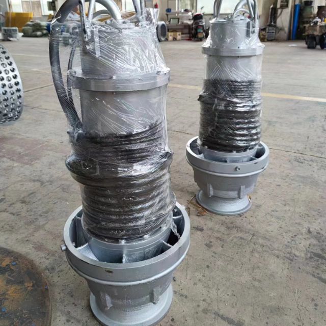 Galvanized Submersible Axial Flow Pump