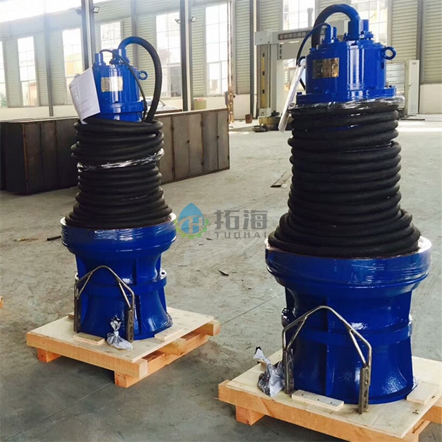 What is submersible axial flow pump?